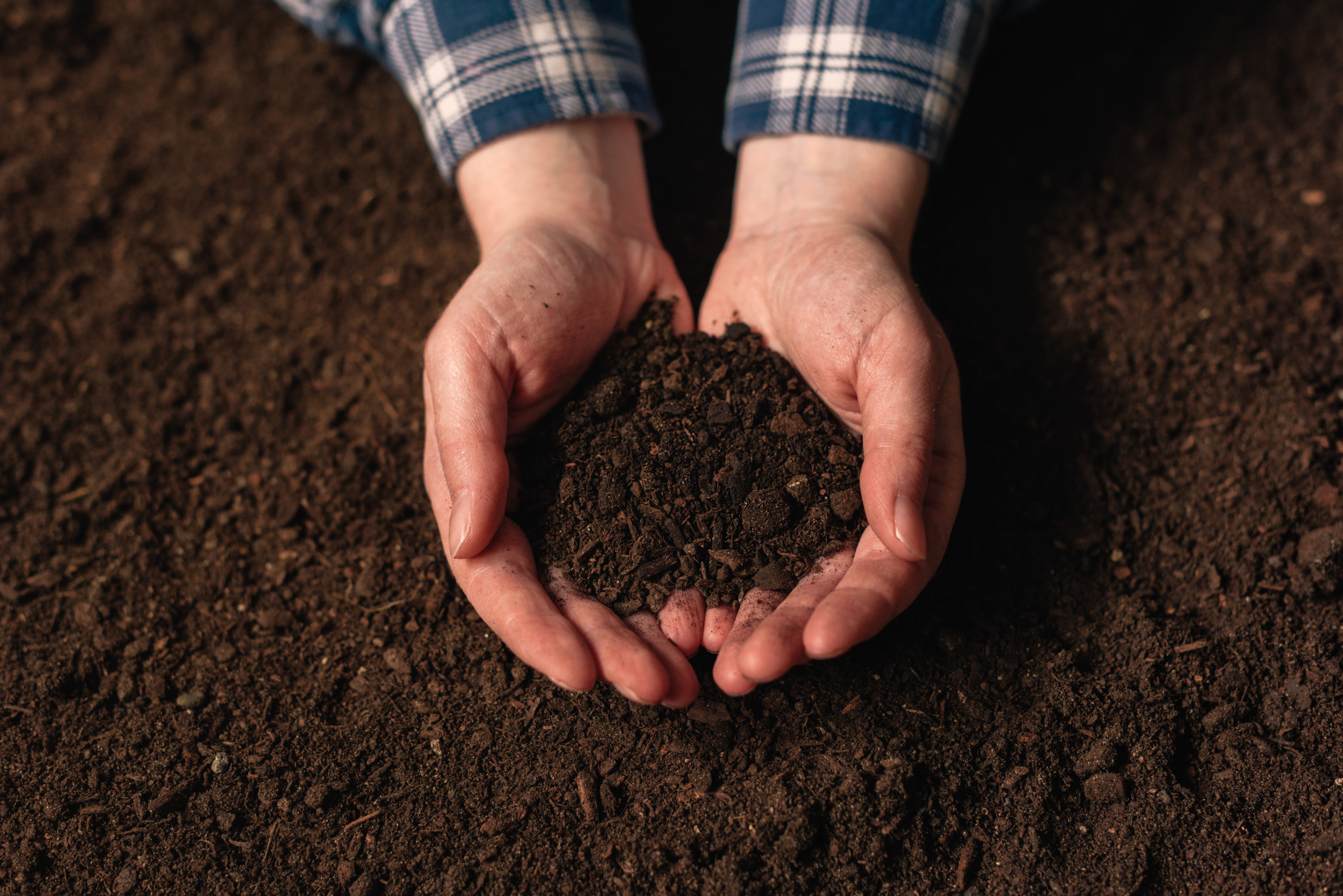 Soil fertility analysis as agricultural activity