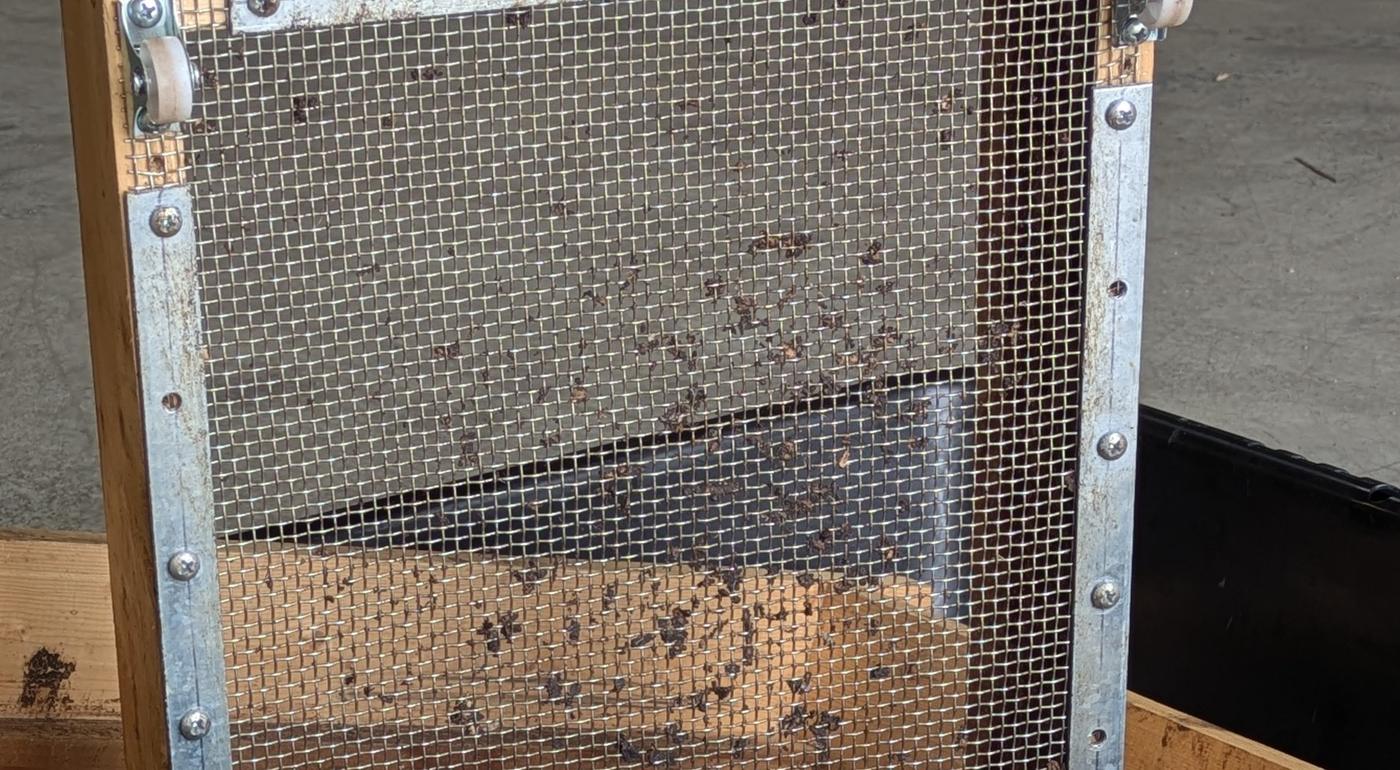 Close-up of the rolling screen's hardware cloth held down by steel strips, with a caster at the corner and bits of compost caught on the mesh.